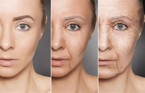 Demystifying The Aging Process Factors That Determine How We Age