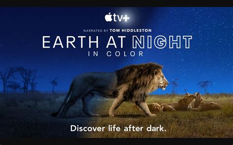Apple Tv 夜色中的地球 全6集 1080p中英文双语字幕 Earth At Night In Color 2020哔哩哔哩