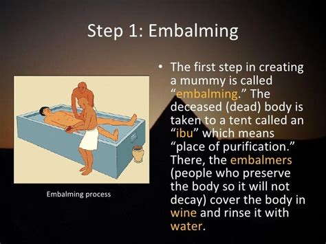 😀 Stages Of Mummification What Are The 5 Stages Of Ancient Egyptian Mummification 2019 02 03