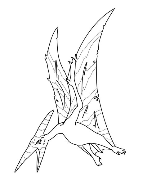 Desenho De Pteranodonte Atacando Para Colorir E Imprimir
