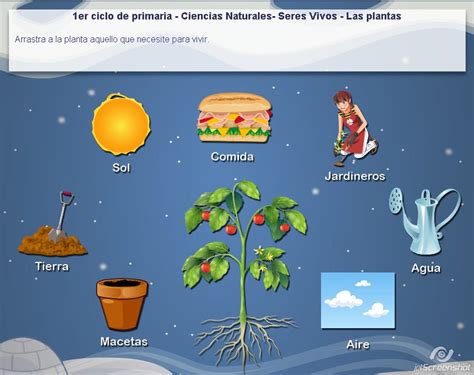 Juegos de patio tradicionales para niños, con instrucciones y materiales. Juegos De Plantas Para Ninos - SEONegativo.com