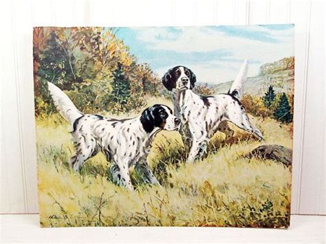 Vintage Hunting Dogs Print English Setter 16 X 20 Lithograph Etsy