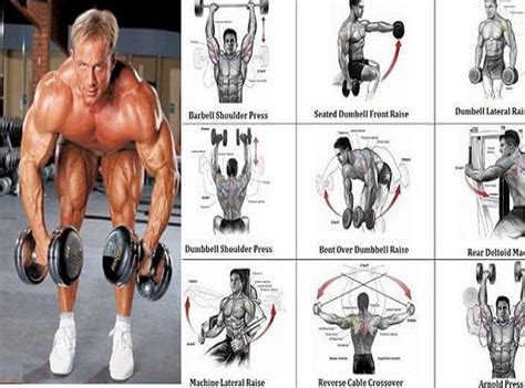 Seated Shoulder Workouts Best Shoulder Workout Shoulder Workout