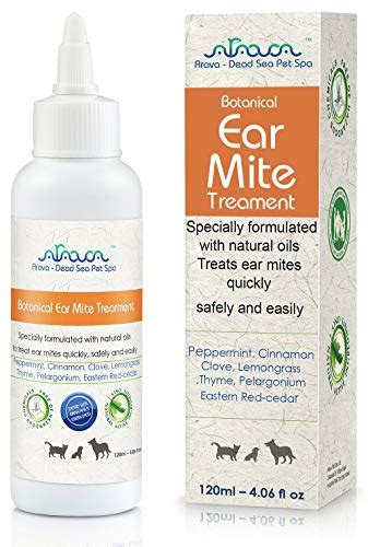 Best Ear Mite Treatment For Dogs Reviews 2021 By Ai Consumer Report