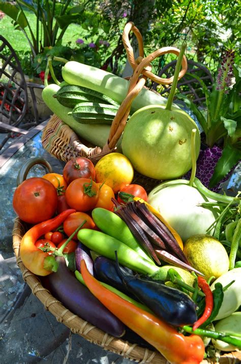 We did not find results for: Entertaining From an Ethnic Indian Kitchen: Colors and ...
