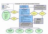 Medical Claims Processing Flow Chart Images