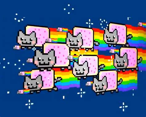 The World Of Everything Nooo Too Many Nyan Cat