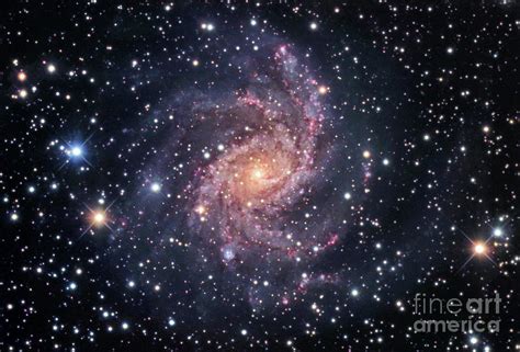 Spiral Galaxy Ngc 6946 Photograph By Robert Gendlerscience Photo
