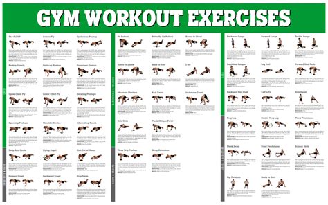 10 Best Free Printable Dumbbell Workout Poster PDF For Free At Printablee