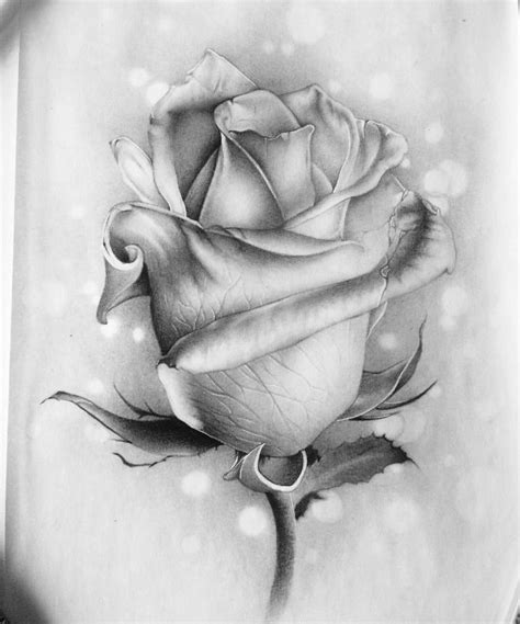 1001 Ideas And Tutorials On How To Draw A Rose Step By Step