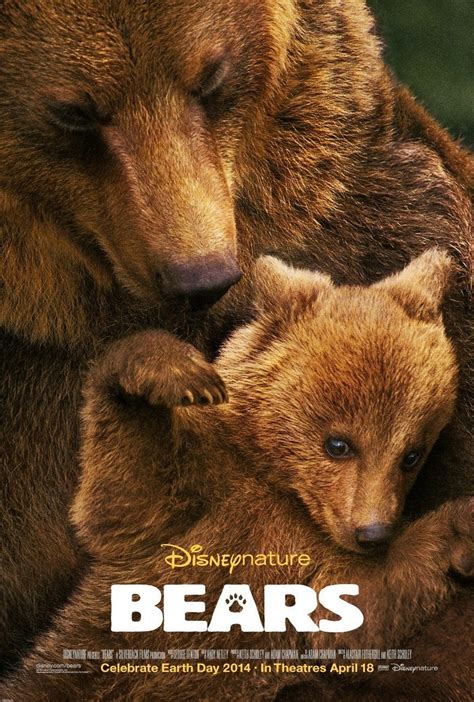 Ursos Filme 2014 Adorocinema