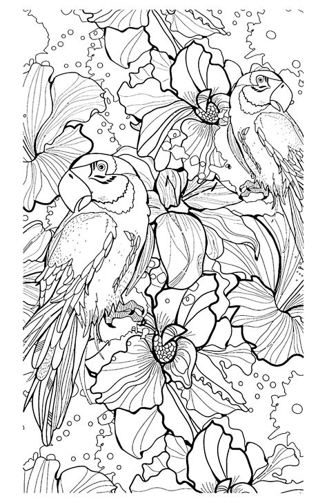 Parrot Difficult Birds Adult Coloring Pages
