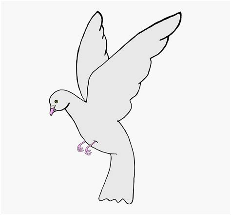 Gambar Sketsa Burung Merpati Putih Hd Png Download Kindpng