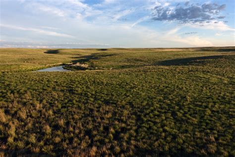 Prairies Grasslands National Trust For Canada