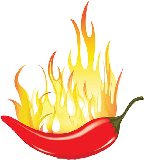 Chili Vector Png Png Image Collection