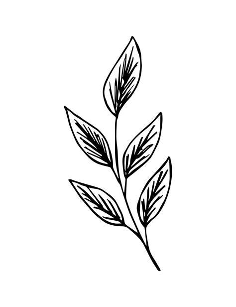 desenho vetorial desenhado à mão em contorno preto ramo com folhas