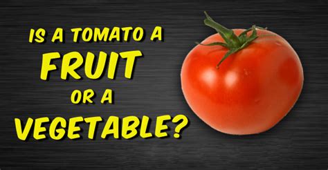 Is Tomato A Fruit Or Vegetable Or Are They Both Everything Explained