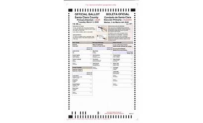 Ballot California Mail Vote Rules Sample County