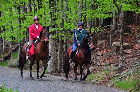 Horseback Riding Near Me