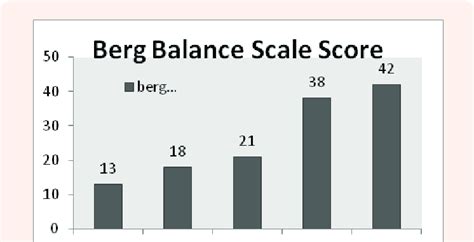 Berg Balance Scale Score