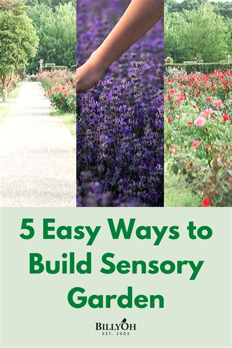 5 Easy Ways To Build Sensory Garden Sensory Garden Bottle Garden