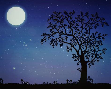 Download Night Moon Tree Royalty Free Stock Illustration Image Pixabay