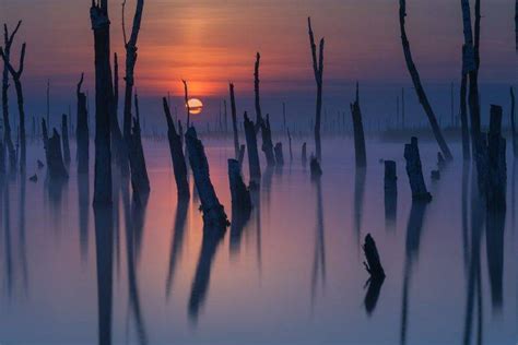 Nature Landscape Mist Lake Sunset Dead Trees Sky Reflection