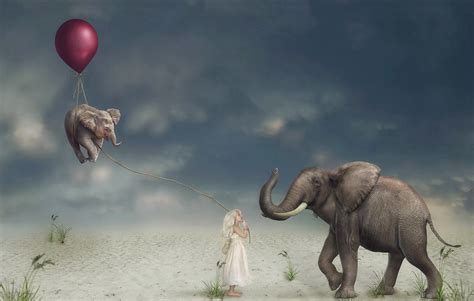 Little Girl With Elephants By Kristen Marie