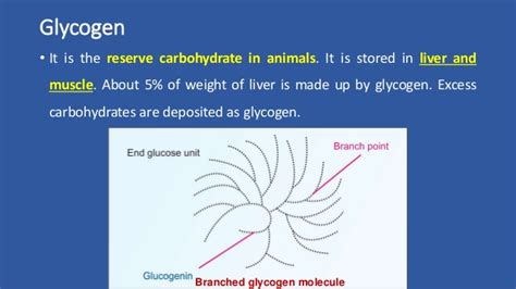 There is a biochemical pathway reason why it is easier to use carbs to. Chemistry of carbohydrates polysaccharides part -3 homoglycans