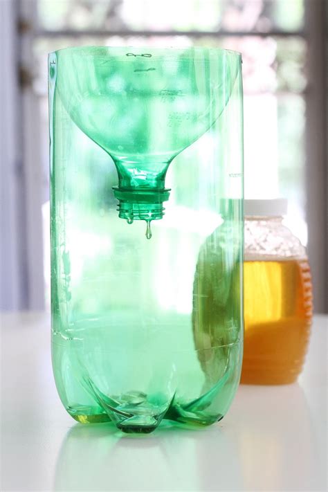 How To Make A Wasp Trap From A Soda Bottle Soda Bottles Wasp Traps Bottle