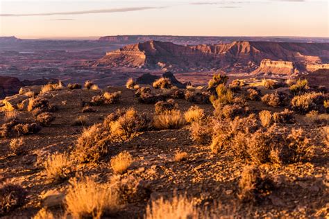 20 Free Desert Pictures On Unsplash