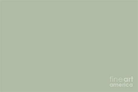 Soft Pastel Sage Green Gray Solid Color Pairs To Behrs 2021 Trending