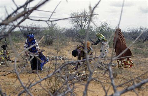 Dadaab Refugee Camps In Kenya 20 Years On In Pictures Global Development The Guardian