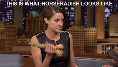 Tonight Show GIF Find Share On GIPHY