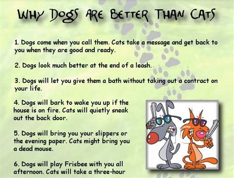 Ten Reasons Why Cats Are Better Than Dogs