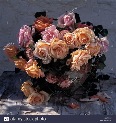High Summer Still Life With Roses Stock Photo Alamy