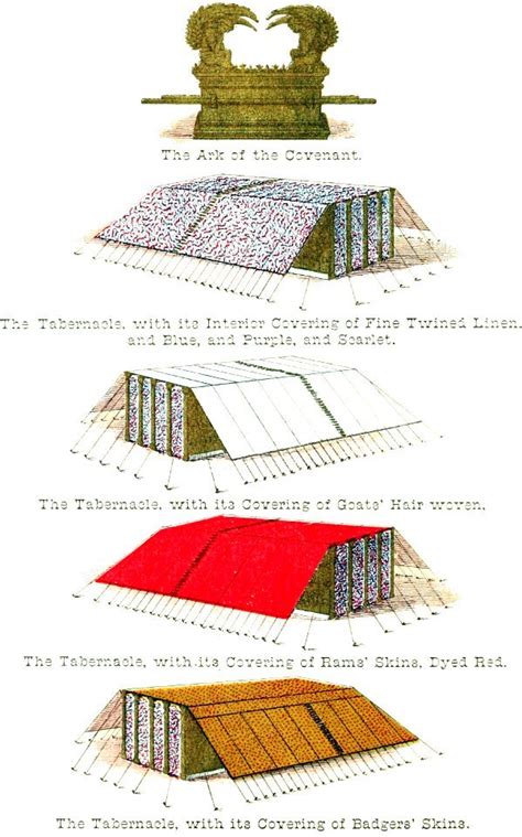 01 The Tabernacle With Various Coverings The Ark Of The Covenant