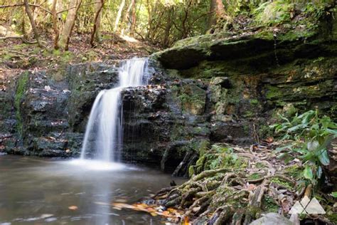 Best Spring Hikes In Georgia Our Top 10 Favorite Trails