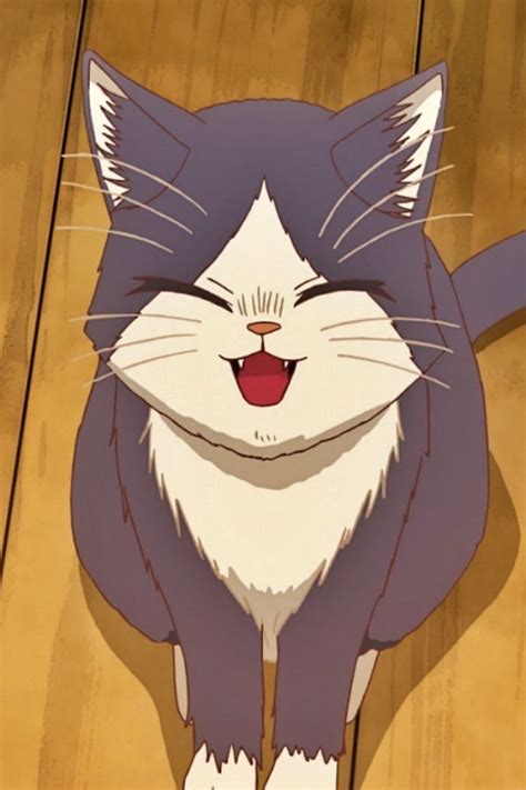 Is Doukyonin Wa Hiza Worth Your Time Anime Shelter Cute Anime Cat