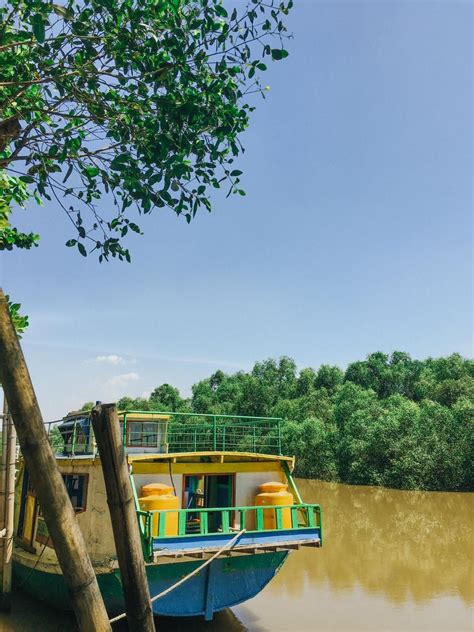 Hutan Mangrove Wonorejo Oase Hijau Di Tengah Kota Surabaya