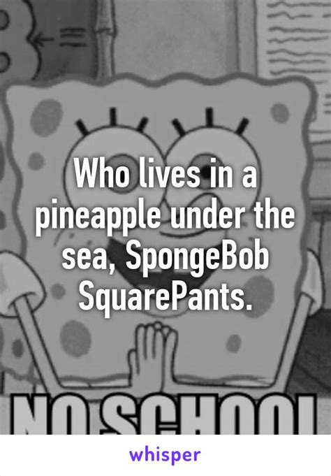 Who Lives In A Pineapple Under The Sea Spongebob Squarepants