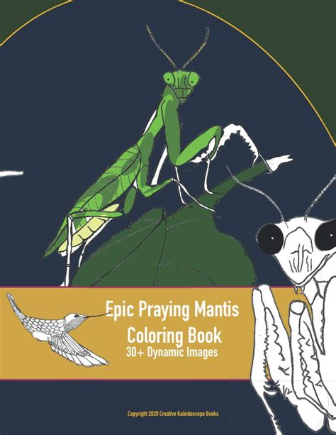 27 Praying Mantis Coloring Pages