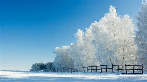 1920x1080 1920x1080 Snow Fence Trees Winter Coolwallpapersme