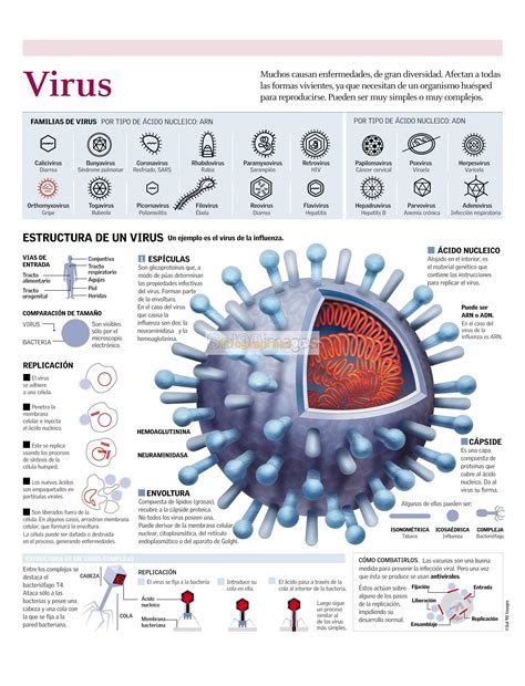 Infografía Virus Infographics90