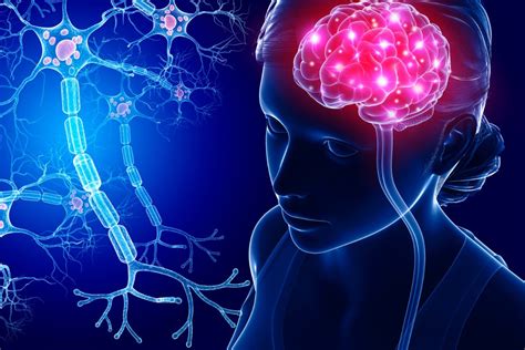 5 Tips How To Regulate Your Nervous System Therapybypro