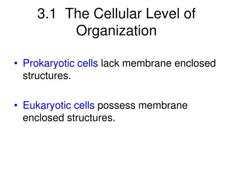 Ppt 31 The Cellular Level Of Organization Powerpoint Presentation