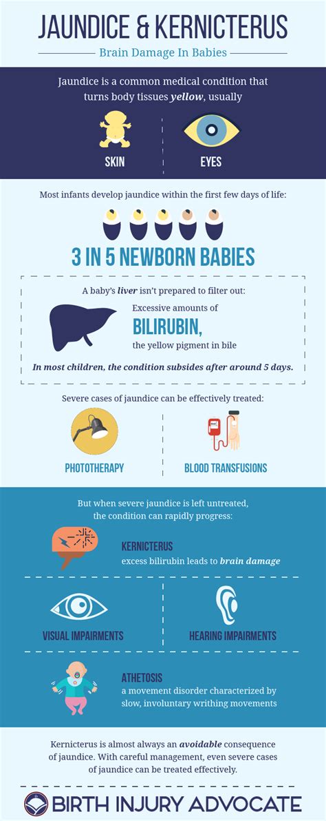 Jaundice And Kernicterus Brain Damage In Babies Infographic Brain