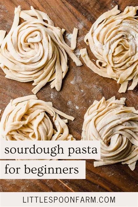 Easy Sourdough Pasta Recipe ~ Same Day Or Long Fermented