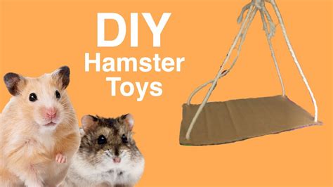 Diy Hamster Toys Easy Youtube