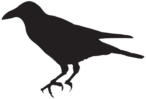 Crow Silhouette Png Clip Art Image Clipart Best Clipart Best